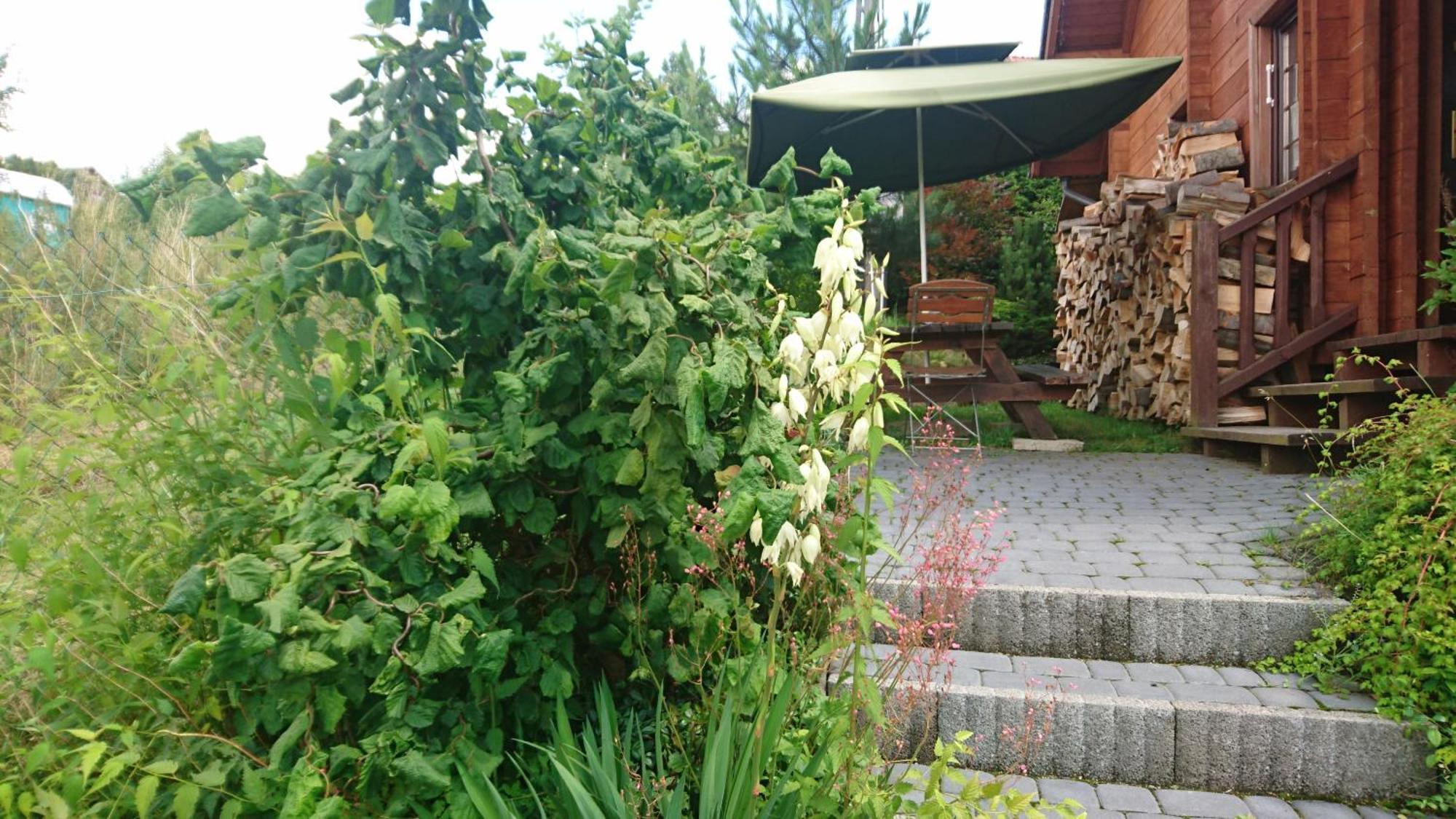 Chatki Qdlatki Kluszkowce Exteriér fotografie