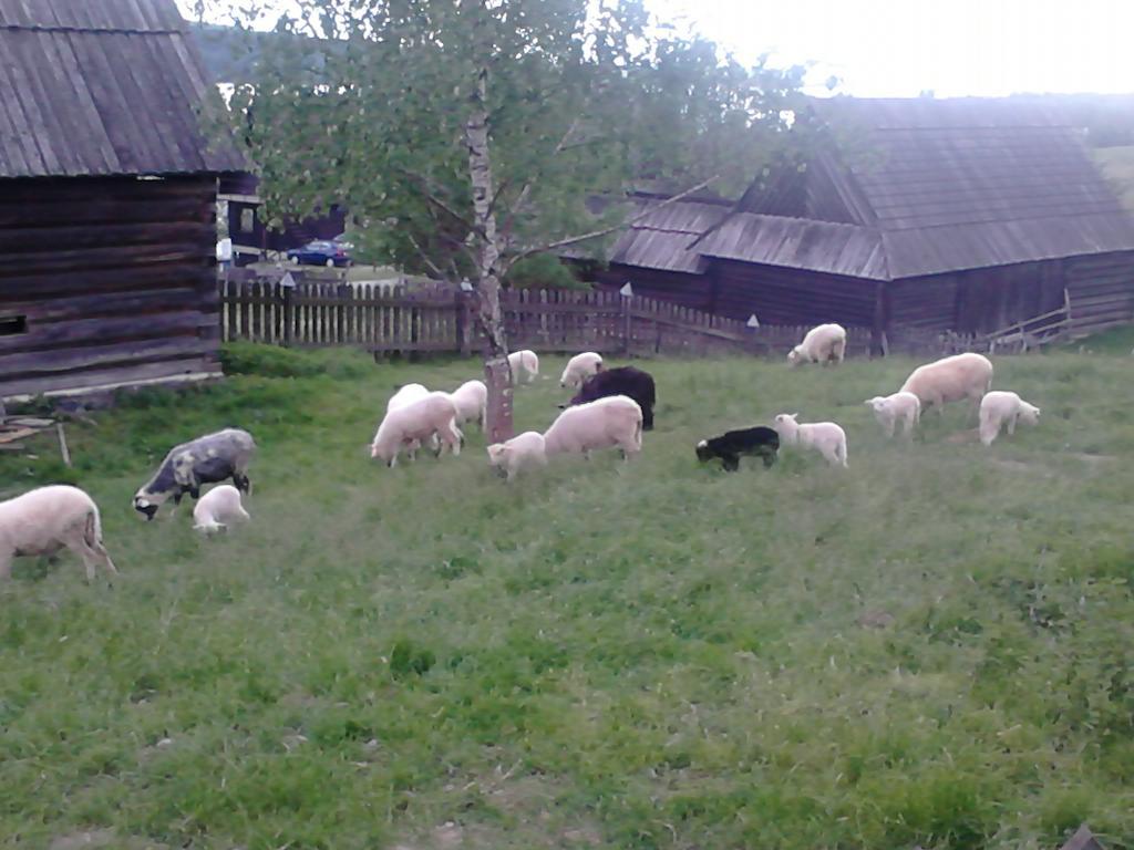 Chatki Qdlatki Kluszkowce Exteriér fotografie